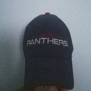 A Bloomsburg panther hat
